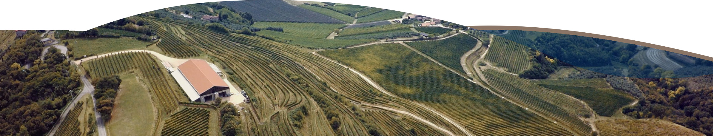 Dicono di ca botta – cabottavini Come si chiama la raccolta di vini pregiati