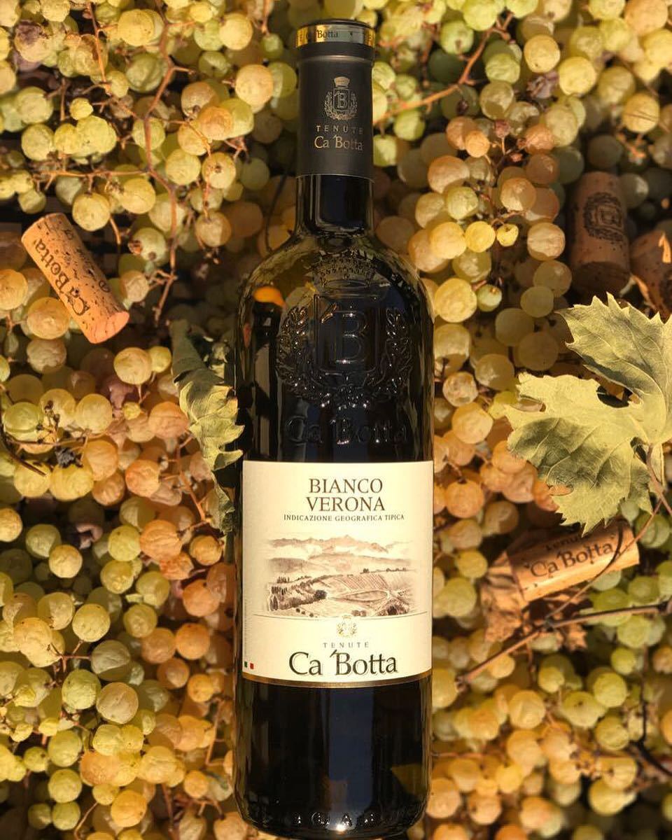 Even if it’s cold, a glass of white BIANCO VERONA #wine is sometimes very handy:)
.
Everyday white dry wine produced with the fermentation in the patented tank Fermentino Ca’Botta® for elegant body
.
White dry wine of yellow grain-like color. The olfactory note reveals the elegant notes of apricots and green apple aromas with lime notes. The taste is characterized by notes of fresh red apples, apricots and sunflower.