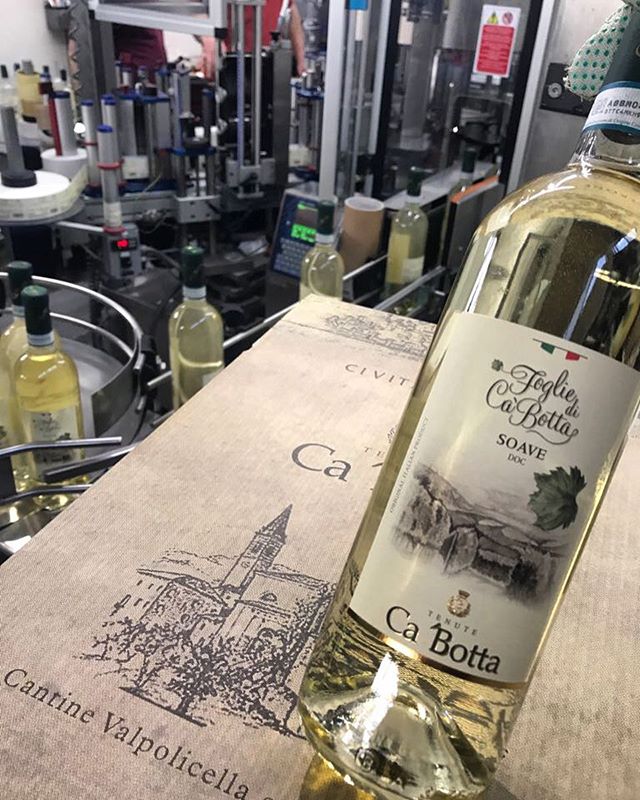 The popular Ca’Botta is bottled and will soon travel to different parts of the world… Cin-cin!